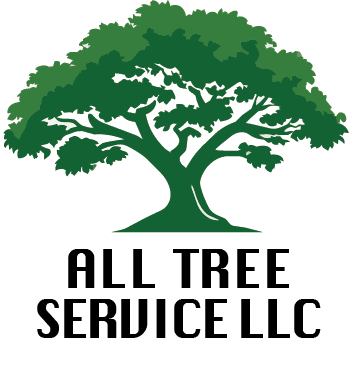 ALL TREE SERVICE LLC