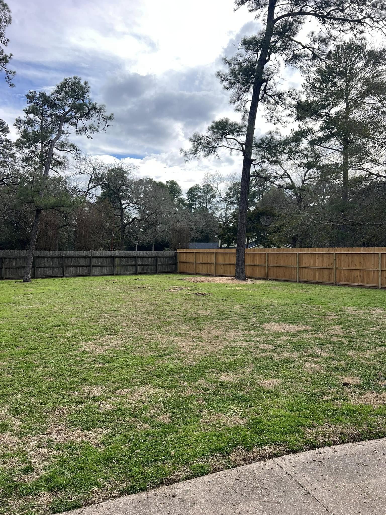 Clean backyard after tree removal by All Tree Service in the Houston area